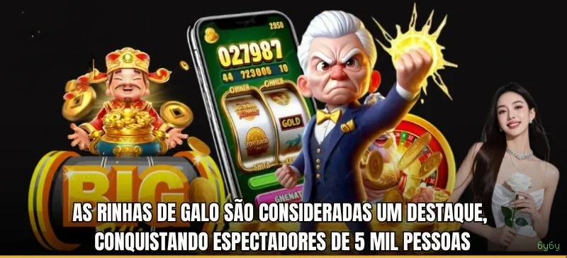Suporte VIP 6y6y - atendimento prioritário